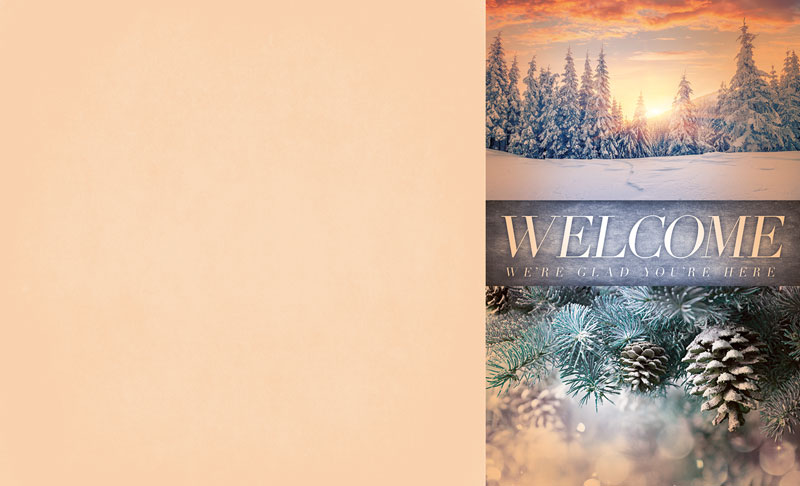 Bulletins, Winter - General, Beautiful Creation Winter, 8.5 x 14