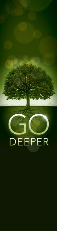 Banners, Ministry, Go Deeper Roots, 2' x 8'