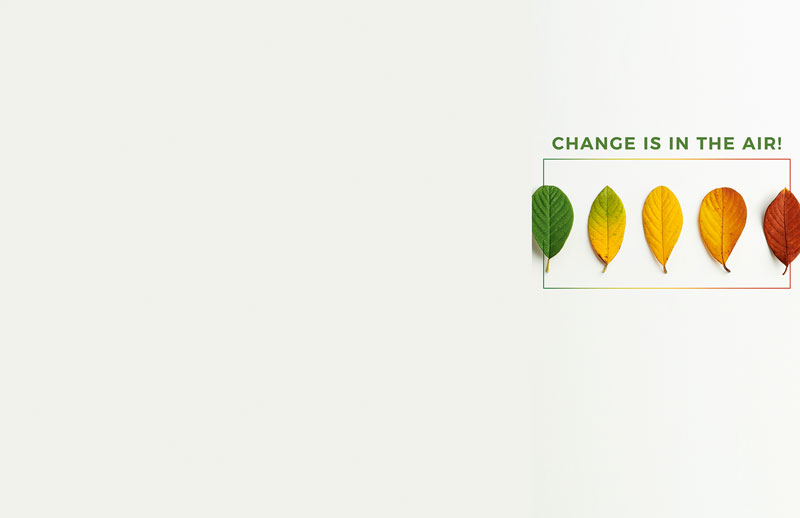 Bulletins, Fall - General, Change Fall Leaves, 11 x 17