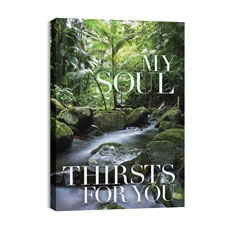 My Soul Thirsts 
