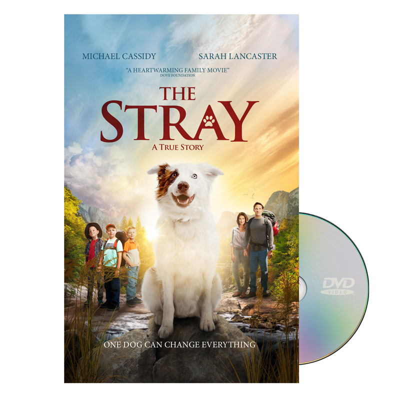 Movie License Packages, The Stray, 100 - 1,000 people  (Standard)