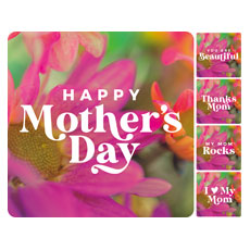 Mother's Day Bloom Set 