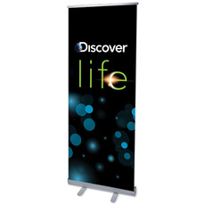 Discover Life 