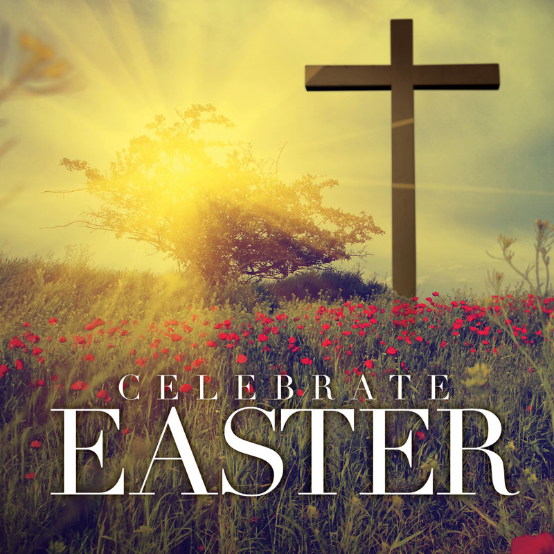 Banners, Easter, Celebrate Easter Cross, 3' x 3'